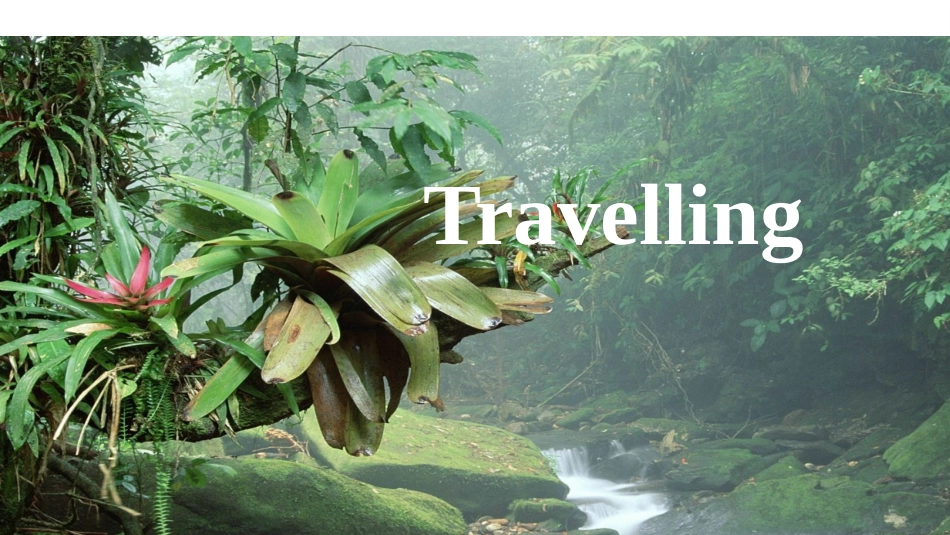 人教版（2019）高一必修一unit2TravellingaroundPeriod201ReadingandThinking同步备课课件_第3页