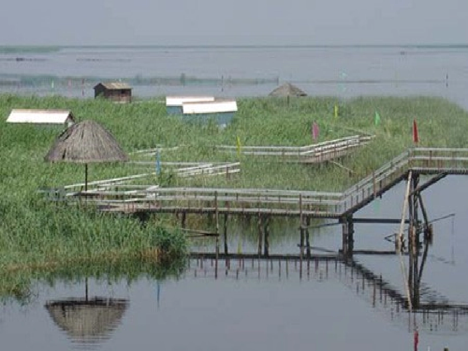 《芦花荡》课件_第2页