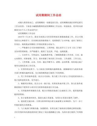 试用期期间工作总结 