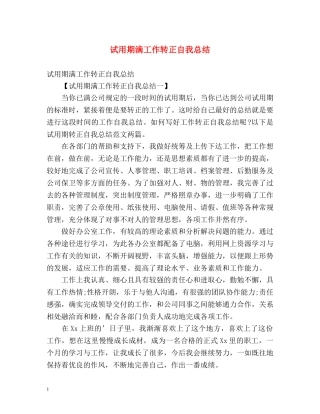 试用期满工作转正自我总结 