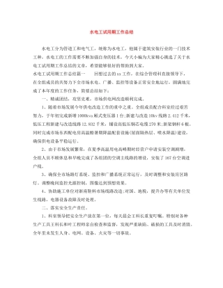 水电工试用期工作总结
