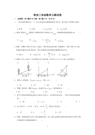 锐角三角函数考试 (2)