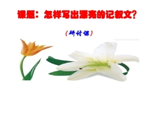 怎样写出漂亮的记叙文？（高一火箭1班）