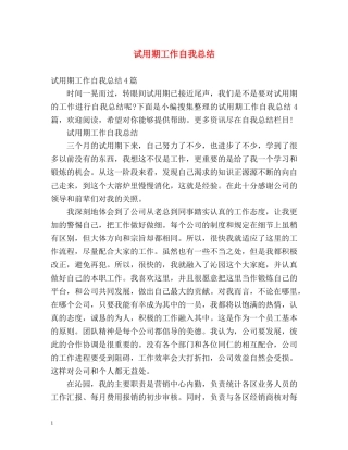 试用期工作自我总结 