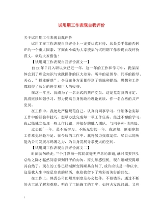 试用期工作表现自我评价 