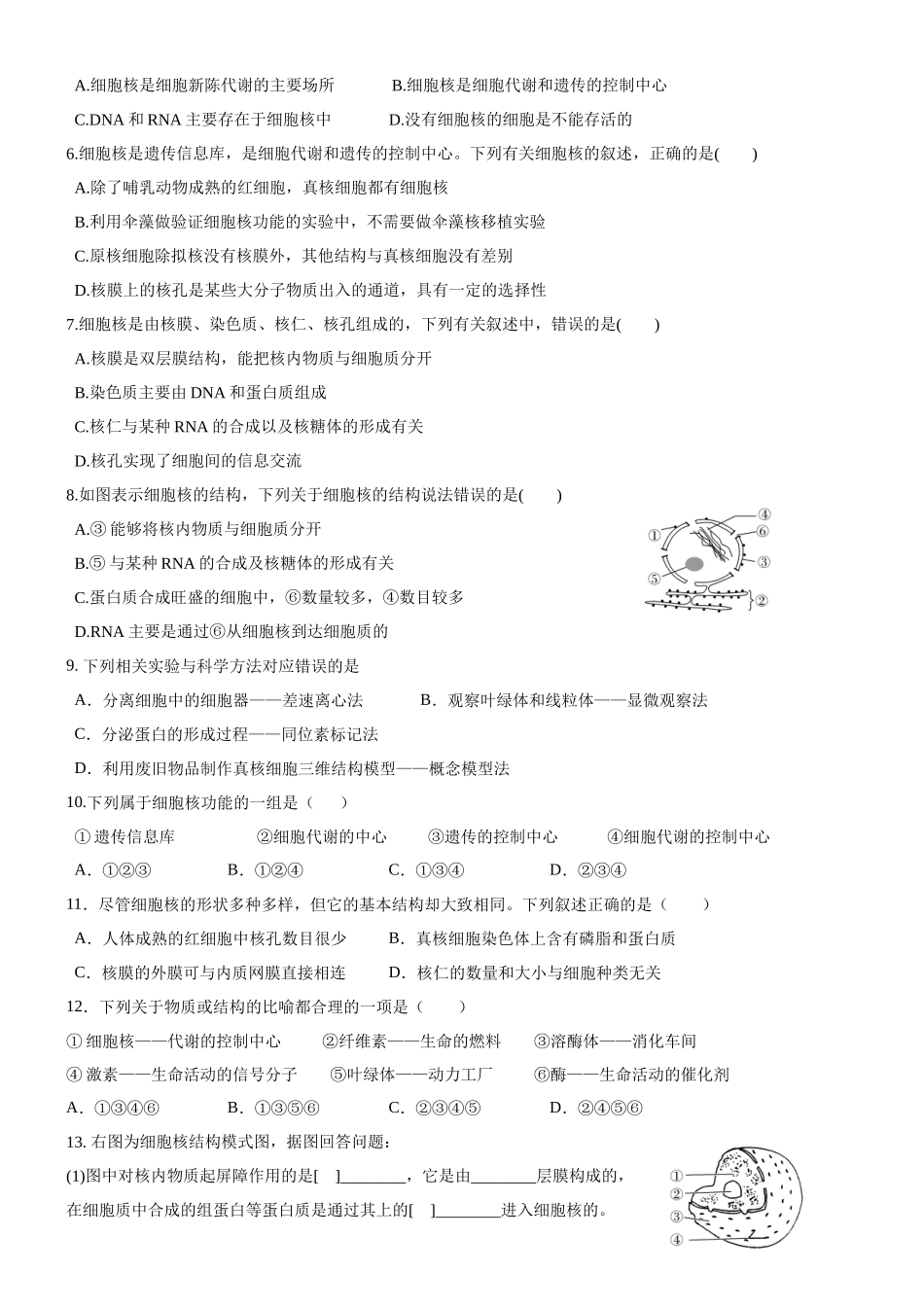 细胞核的结构和功能_第2页