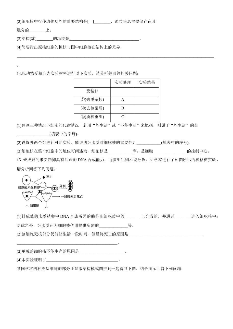 细胞核的结构和功能_第3页