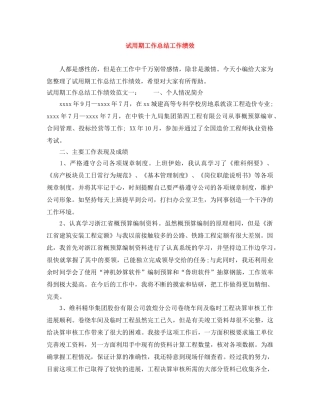试用期工作总结工作绩效 