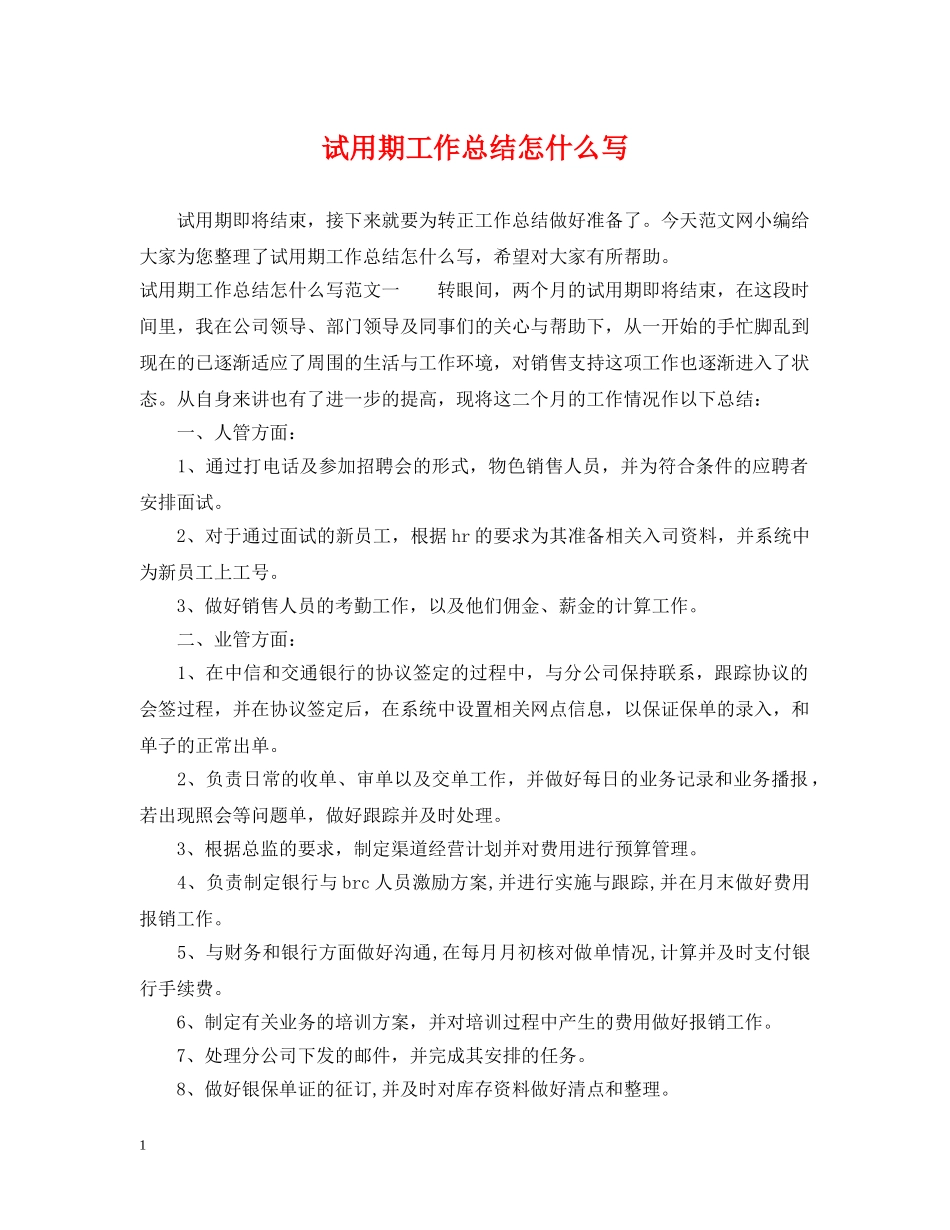 试用期工作总结怎什么写 _第1页