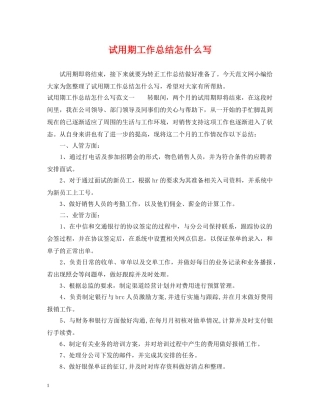 试用期工作总结怎什么写 