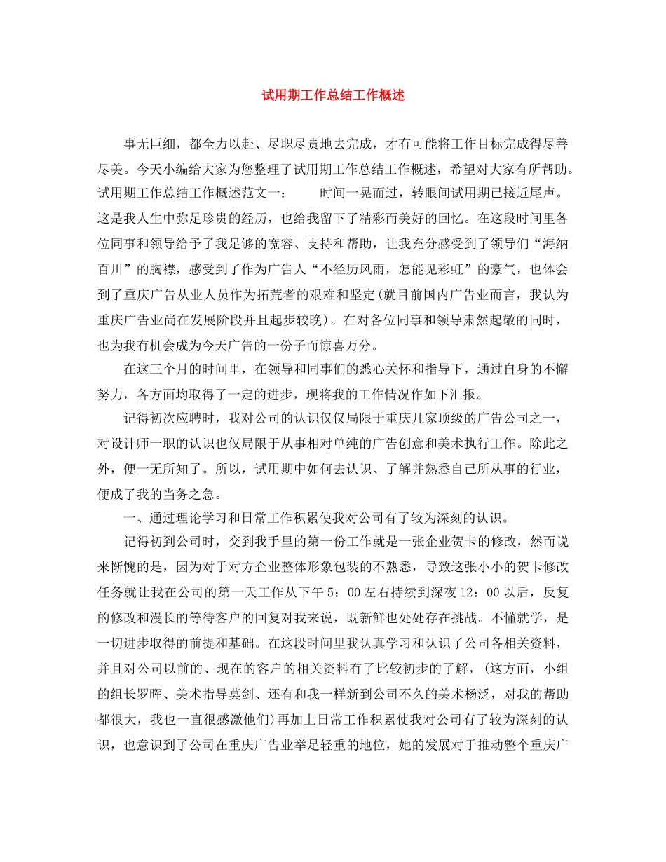 试用期工作总结工作概述 _第1页