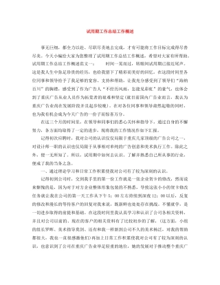 试用期工作总结工作概述 