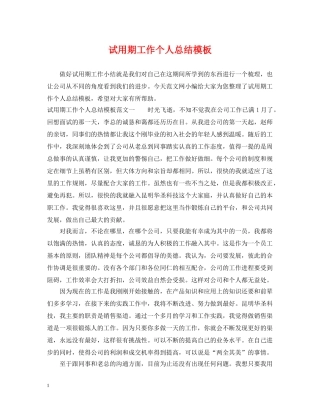 试用期工作个人总结模板 