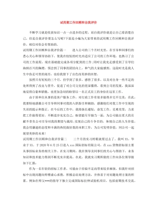 试用期工作回顾和自我评价 