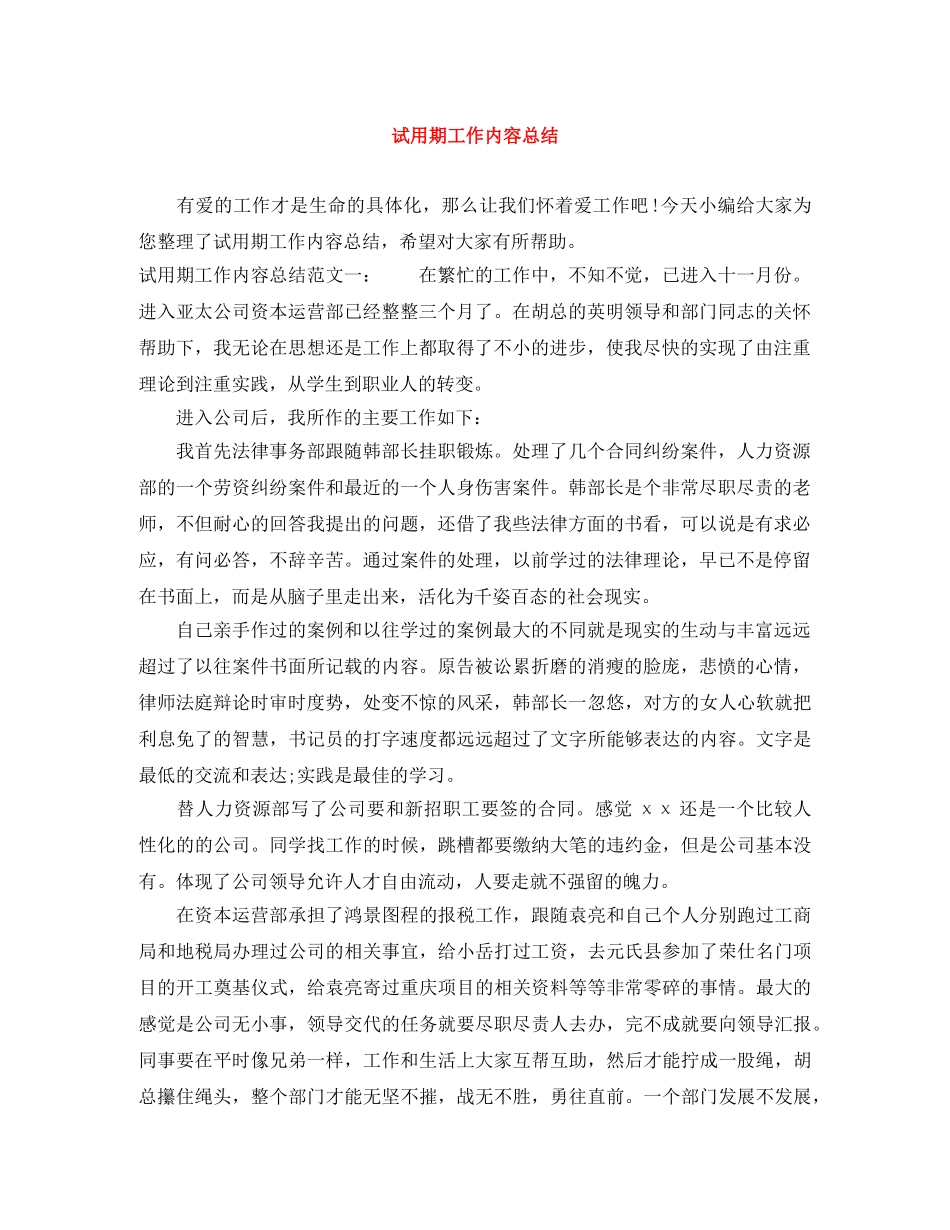 试用期工作内容总结 _第1页
