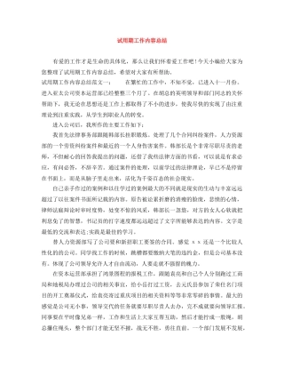 试用期工作内容总结 