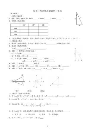 锐角三角函数和解直角三角形
