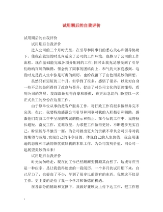试用期后的自我评价 