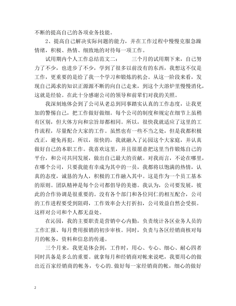 试用期内个人工作总结 _第2页