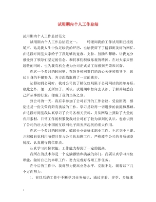 试用期内个人工作总结 