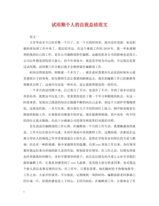 试用期个人的自我总结范文 