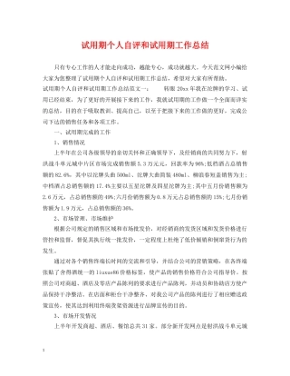 试用期个人自评和试用期工作总结 