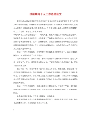 试用期内个人工作总结范文 