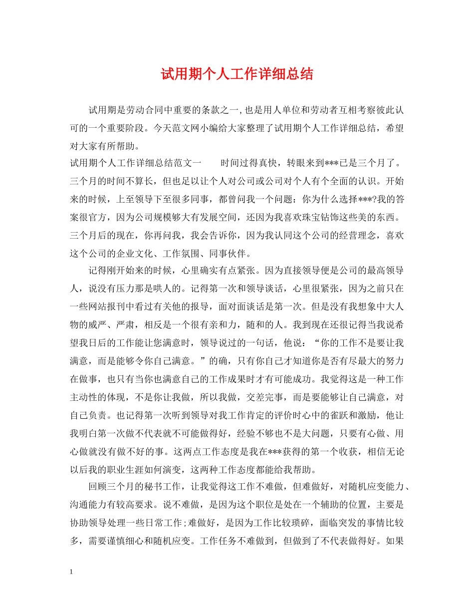 试用期个人工作详细总结 _第1页