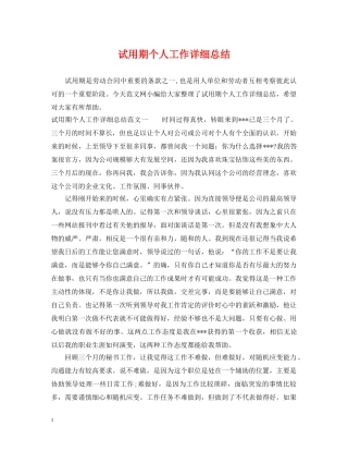试用期个人工作详细总结 