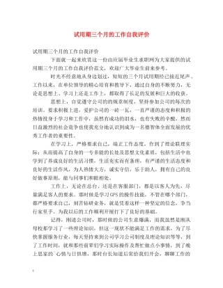 试用期三个月的工作自我评价 