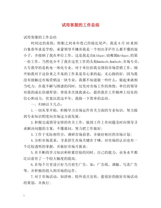 试用客服的工作总结 