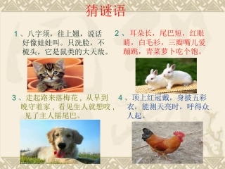 单元四作文——我喜欢的小动物（新）