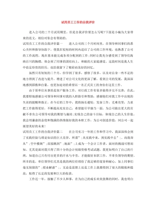 试用员工工作的自我评价 