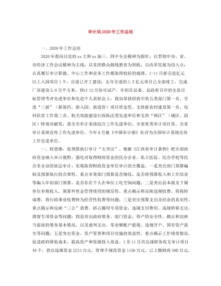 审计局年工作总结