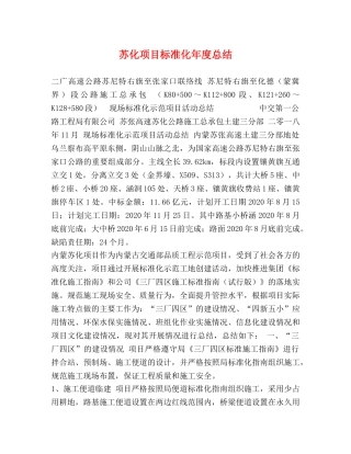 苏化项目标准化年度总结 