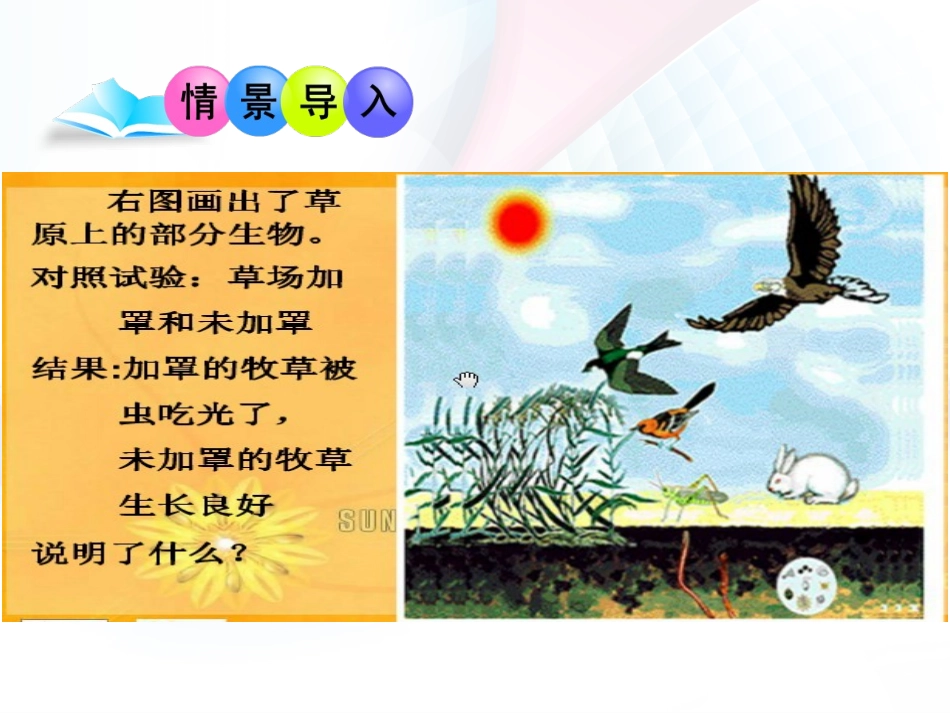 《生物与环境组成生态系统》课件_第3页