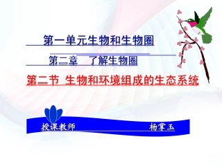 《生物与环境组成生态系统》课件