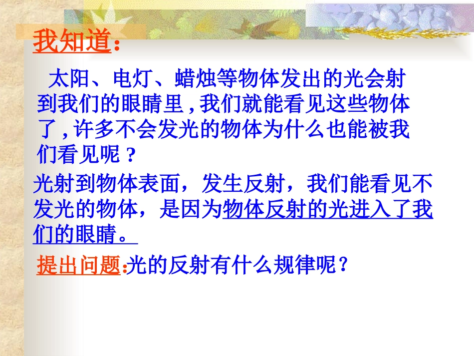 光的反射PPT课件_第2页
