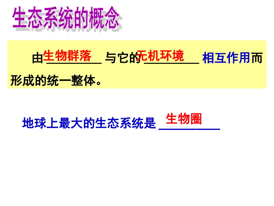 《生态系统的结构》复习课件_第2页