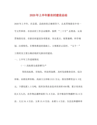 2020年上半年新农村建设总结
