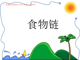 六年级科学食物链
