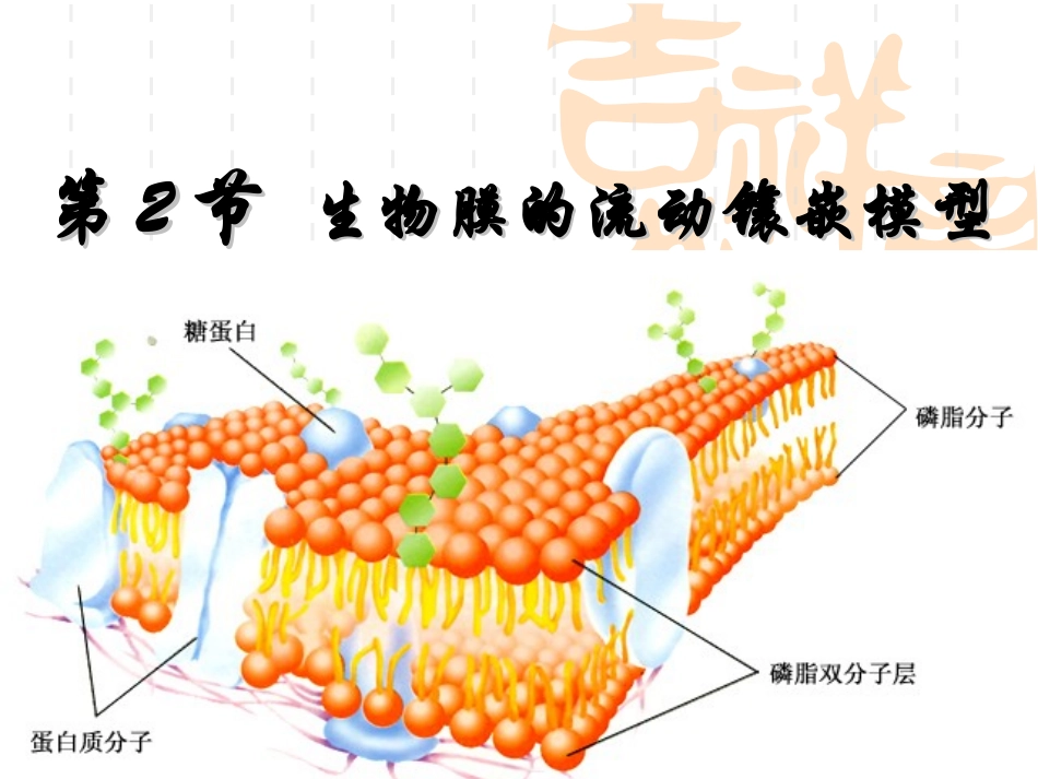 生物膜的流动镶嵌模型_第1页