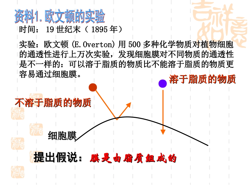 生物膜的流动镶嵌模型_第3页