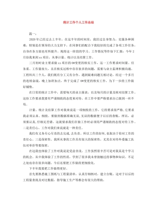 统计工作个人工作总结 