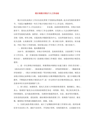 统计局统计岗位个人工作总结 