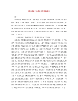 统计局的个人统计工作总结范文 