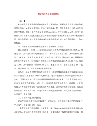 统计局年终工作总结报告 