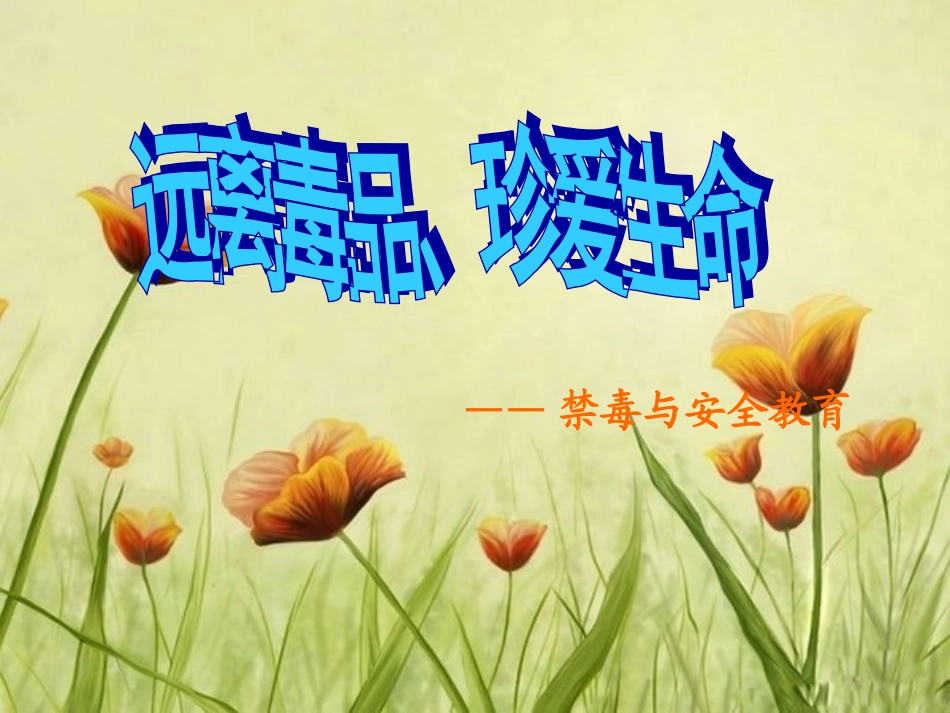 安全与禁毒教育_第1页
