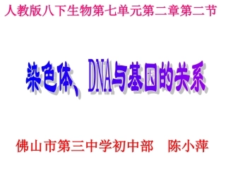 《染色体、DNA和基因的关系》(陈小萍）