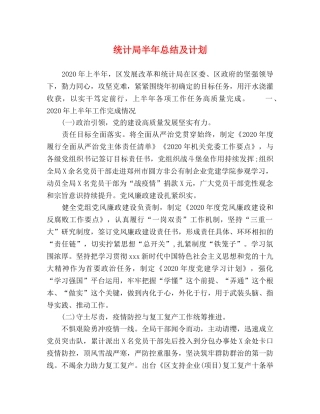 统计局半年总结及计划 
